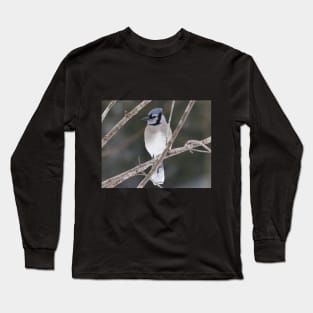 Bluejay on a Branch Long Sleeve T-Shirt